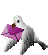 email_gif