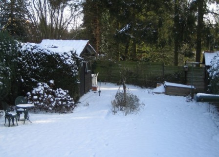 jardin neige